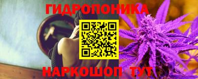a pvp Будённовск
