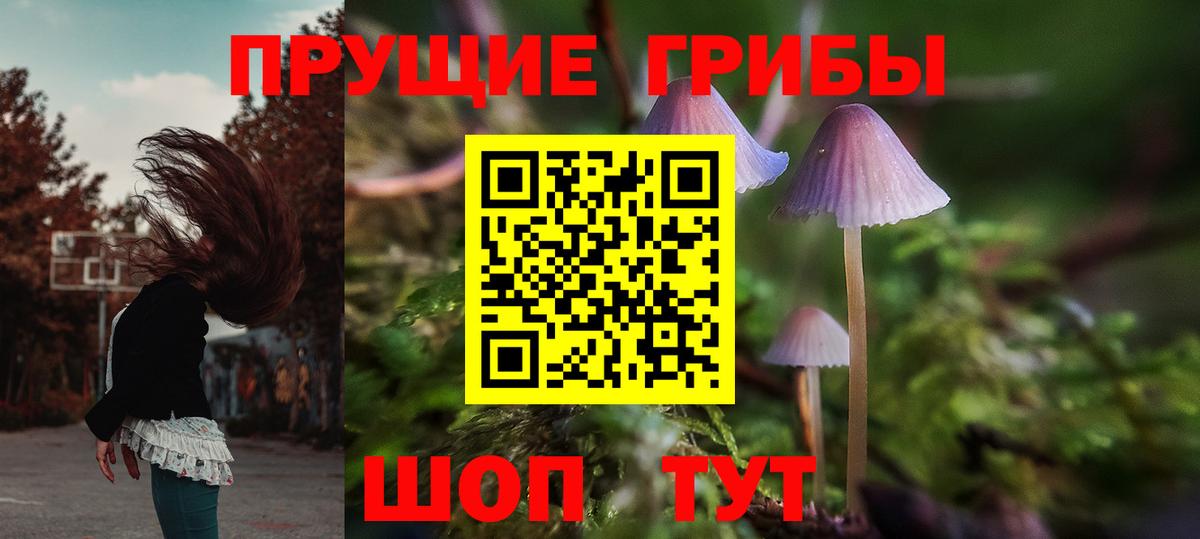 Галлюциногенные грибы Psilocybine cubensis Армавир